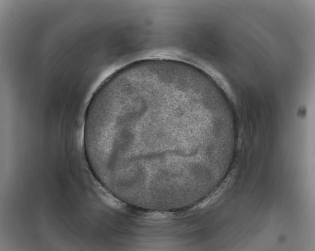 X0000100361224200807031830