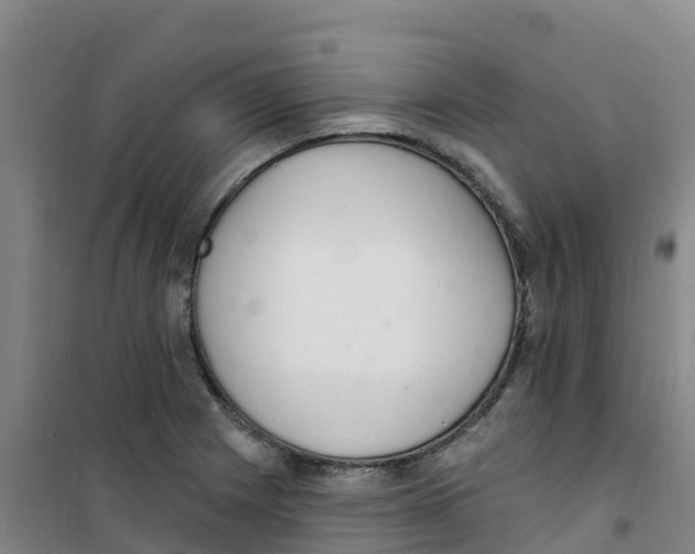 X0000100361225200807031830