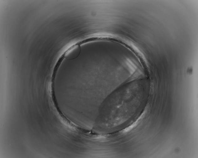 X0000100361229200807031830