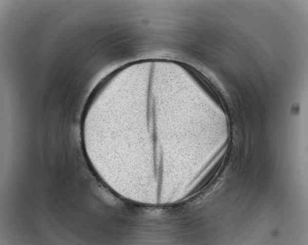 X0000100361230200807031830