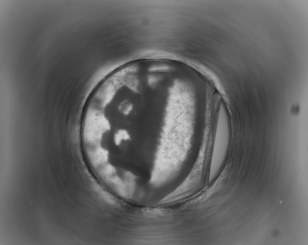 X0000100361231200807031830