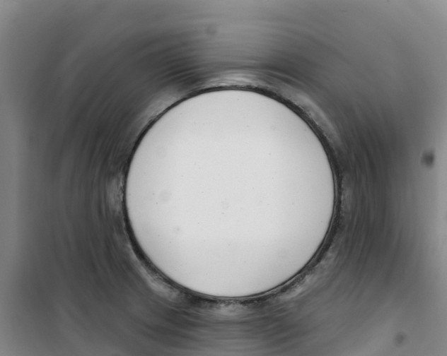 X0000100361233200807031830