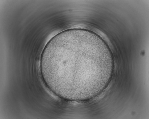 X0000100361234200807031830