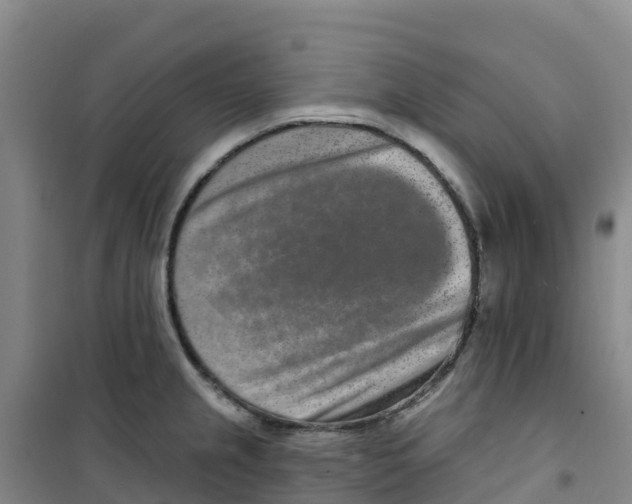 X0000100361237200807031830
