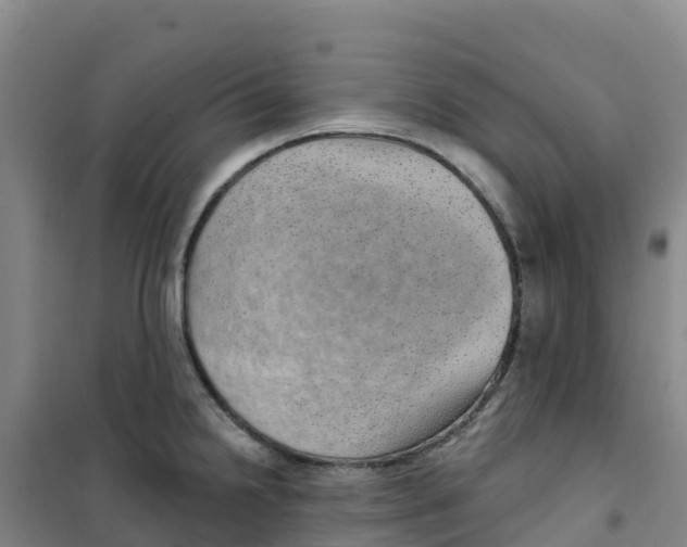 X0000100361238200807031830