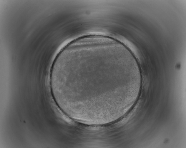 X0000100361240200807031830