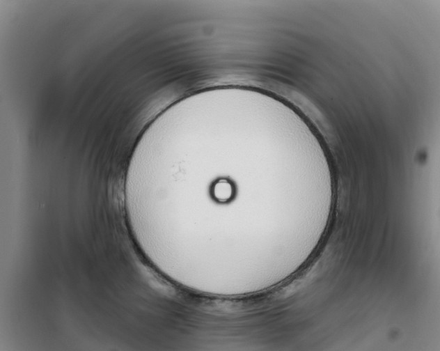 X0000100361241200807031830