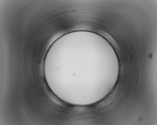 X0000100361242200807031830