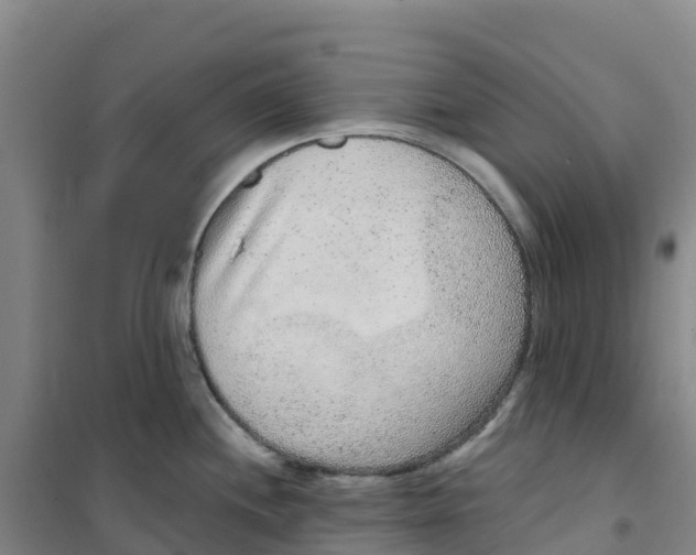 X0000100361244200807031830