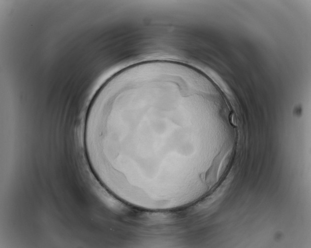 X0000100361246200807031830