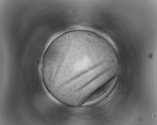 X0000100361247200807031831