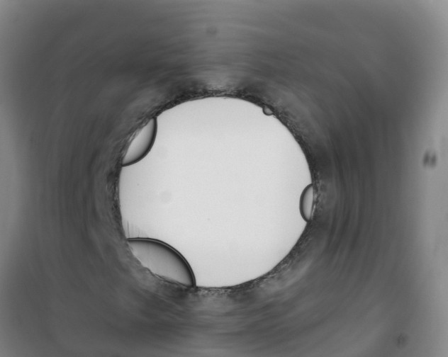 X0000100361249200807031830