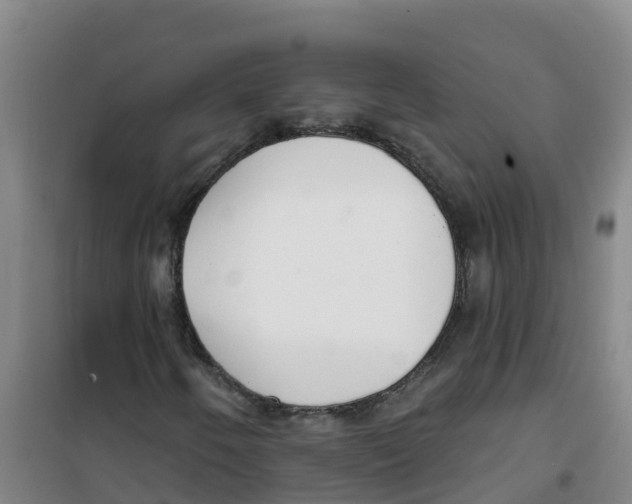X0000100361250200807031830