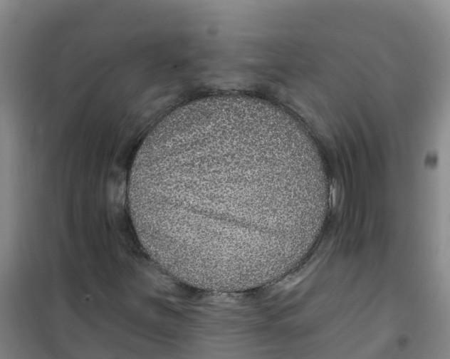 X0000100361251200807031830