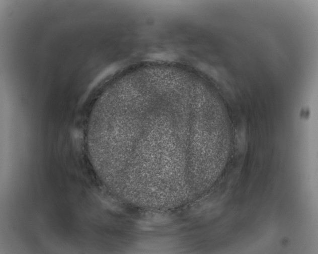 X0000100361254200807031830