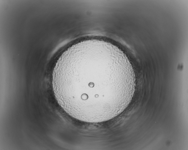 X0000100361255200807031830