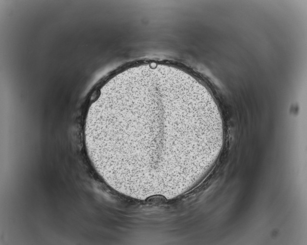 X0000100361256200807031830
