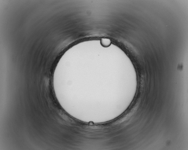 X0000100361257200807031830