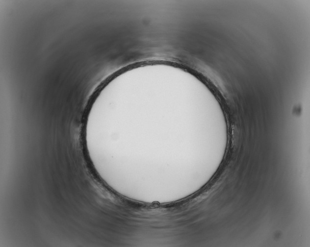 X0000100361260200807031830