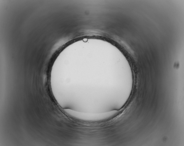 X0000100361261200807031830