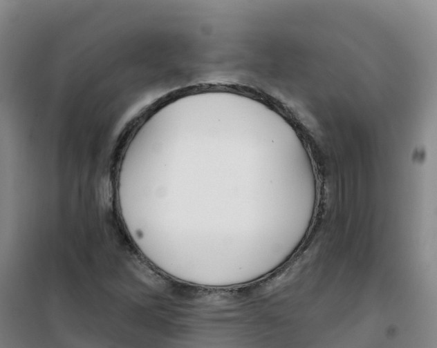 X0000100361262200807031830
