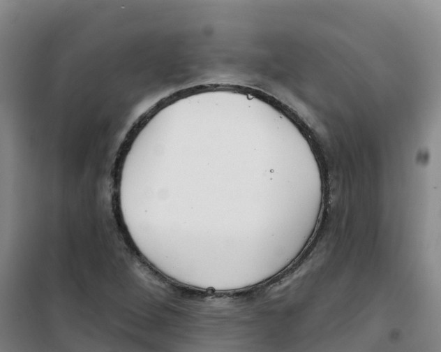 X0000100361264200807031830