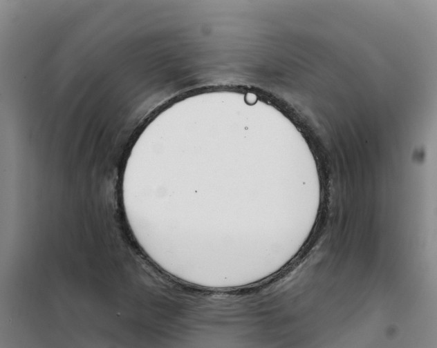 X0000100361265200807031830