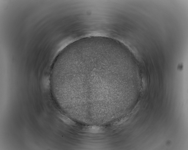 X0000100361266200807031830