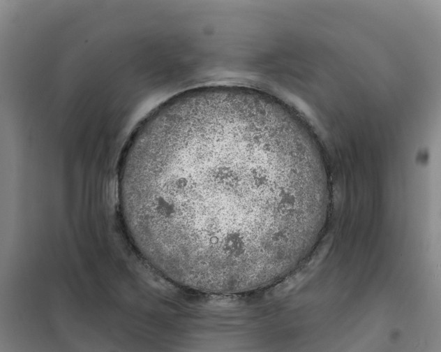 X0000100361267200807031830