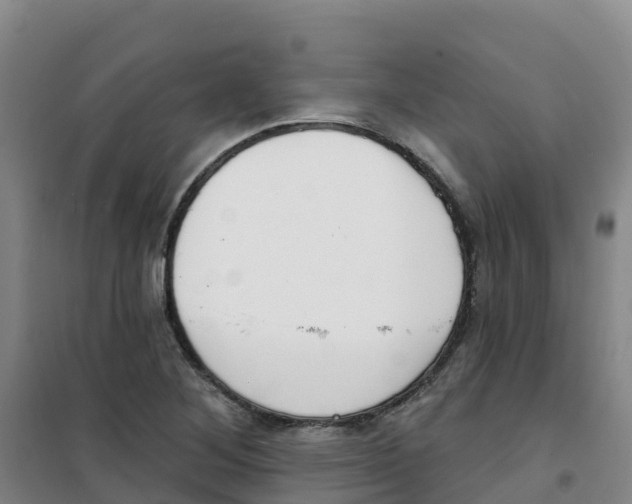 X0000100361268200807031830