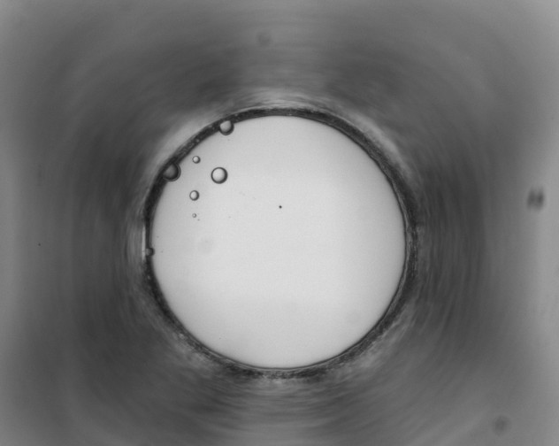 X0000100361269200807031830