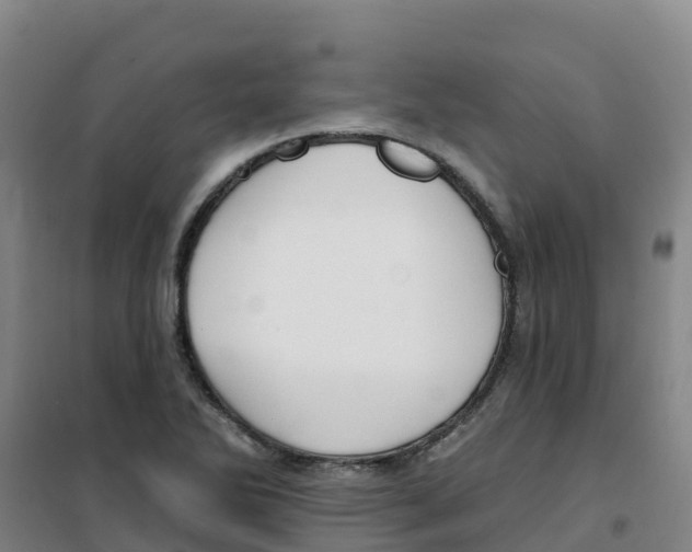 X0000100361270200807031830