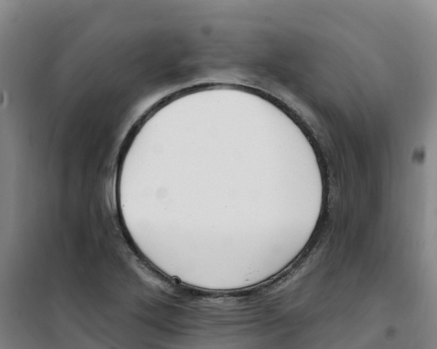 X0000100361272200807031829
