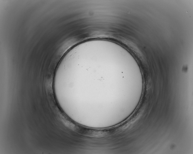 X0000100361273200807031829