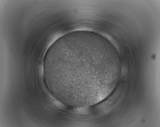 X0000100361274200807031829