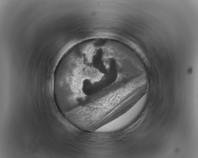 X0000100361275200807031829