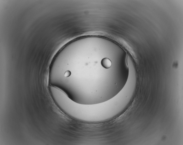 X0000100361276200807031829