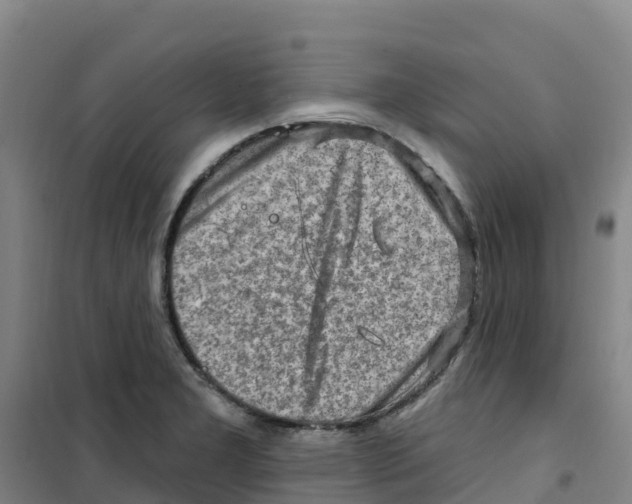 X0000100361277200807031829