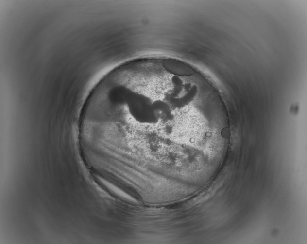 X0000100361279200807031829