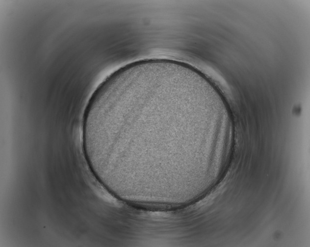X0000100361280200807031829