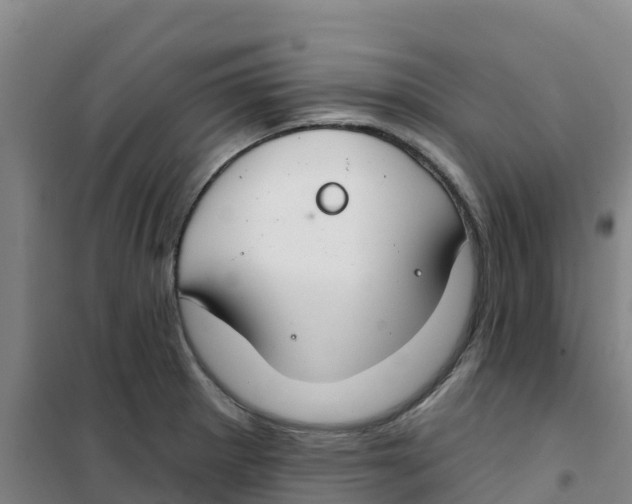 X0000100361281200807031829
