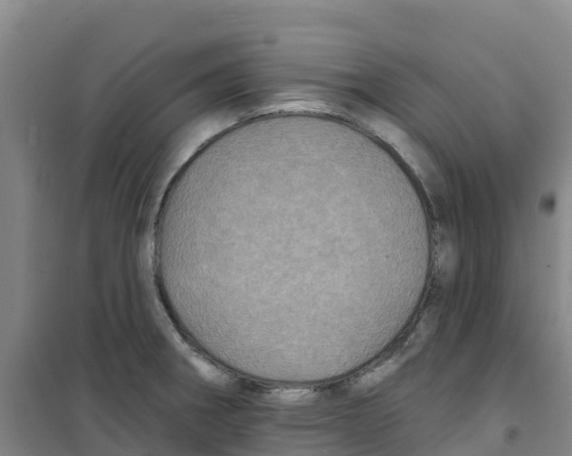X0000100361282200807031829