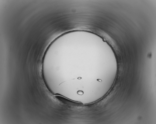 X0000100361284200807031829