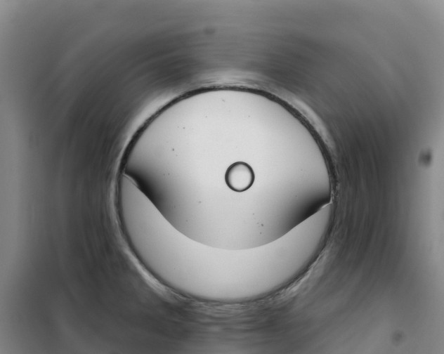 X0000100361285200807031829