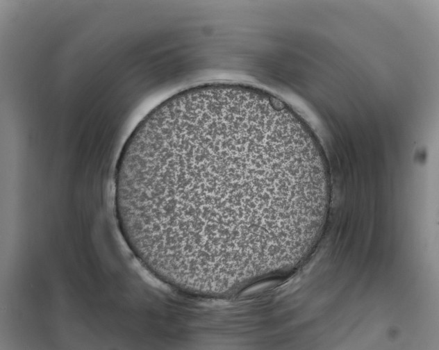 X0000100361287200807031829