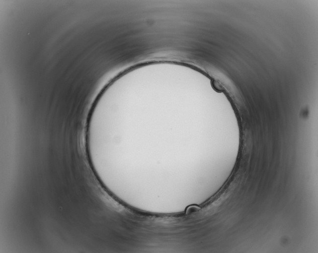 X0000100361288200807031829