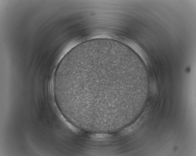 X0000100361290200807031829