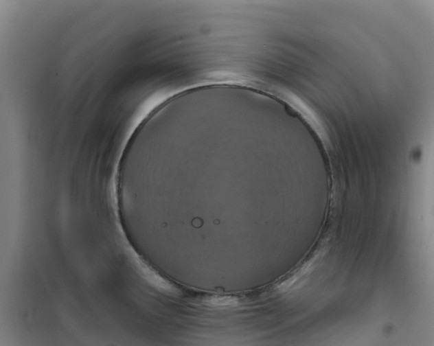 X0000100361291200807031829