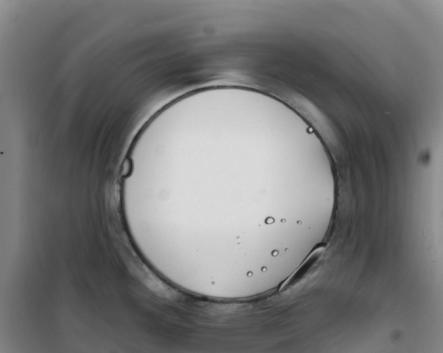 X0000100361292200807031829