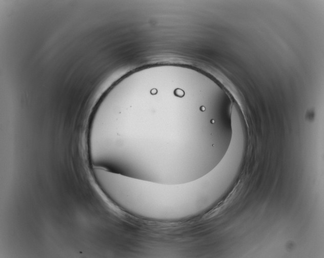 X0000100361293200807031829